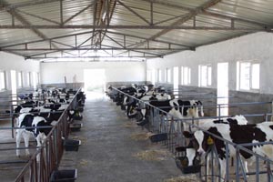 lewin����-(�й�)���޹�˾�ٷ���վ