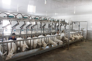 lewin����-(�й�)���޹�˾�ٷ���վ