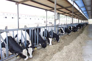 lewin����-(�й�)���޹�˾�ٷ���վ