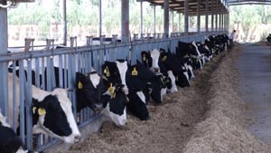 lewin����-(�й�)���޹�˾�ٷ���վ