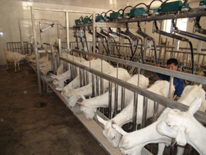 lewin����-(�й�)���޹�˾�ٷ���վ