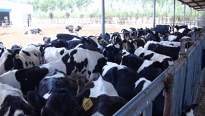 lewin����-(�й�)���޹�˾�ٷ���վ